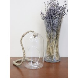 Glass Vases (Ship by Skid or Pick Up)